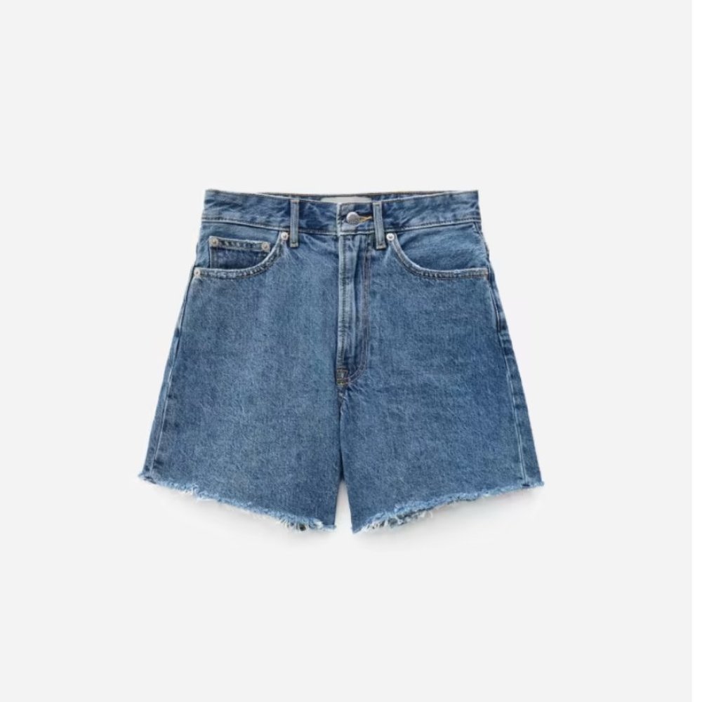 Everlane A-Line Short